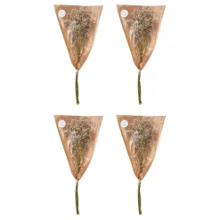 FLOWER MARKET Trockenblume 4er-Set