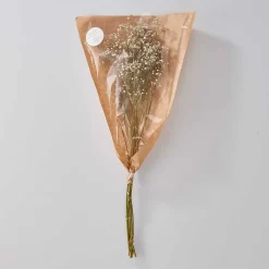 FLOWER MARKET Trockenblume 4er-Set