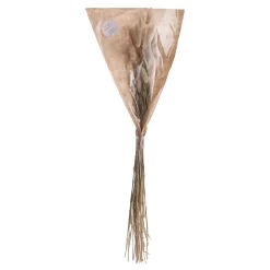 FLOWER MARKET Trockenblumen Lagurusgras