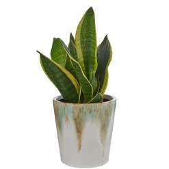 GRADIENT Blumenübertopf