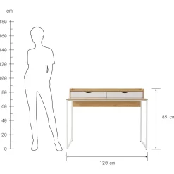 MODERNIST Schreibtisch
