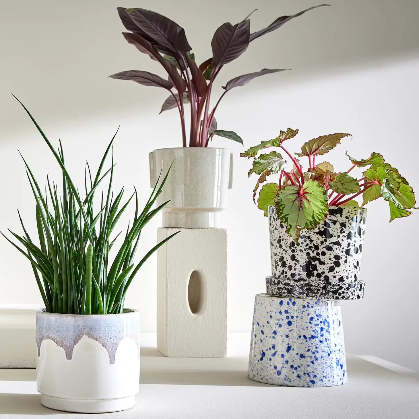 PAINTED Blumenübertopf