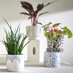 PAINTED Blumenübertopf 4er-Set