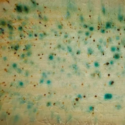 SINTRA Servierschale