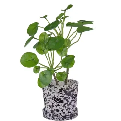 SPLASH Blumenübertopf mit Teller