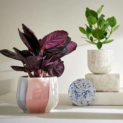 SPOT Blumenübertopf