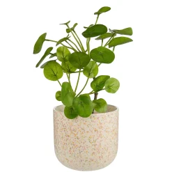 SPOT Blumenübertopf 2er-Set