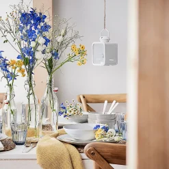 SWING Flasche mit Bügelverschluß 6er-Set